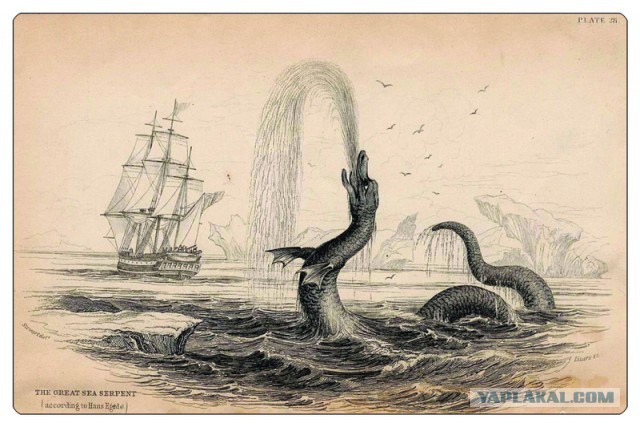 В Средиземном море нашли останки Морского змея