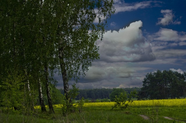 Перед грозой в деревне