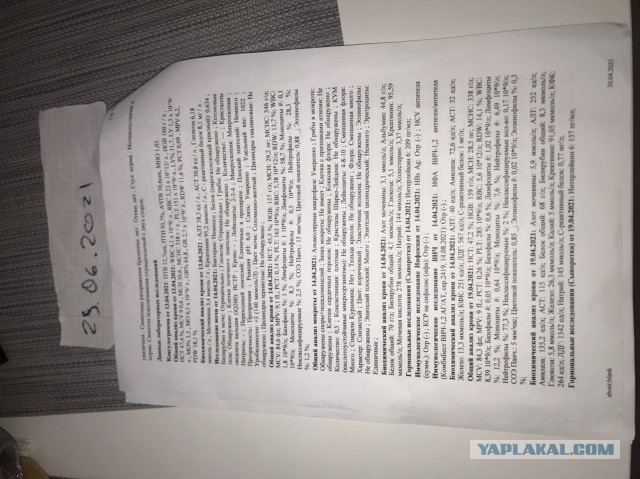 Как я "корону надел"