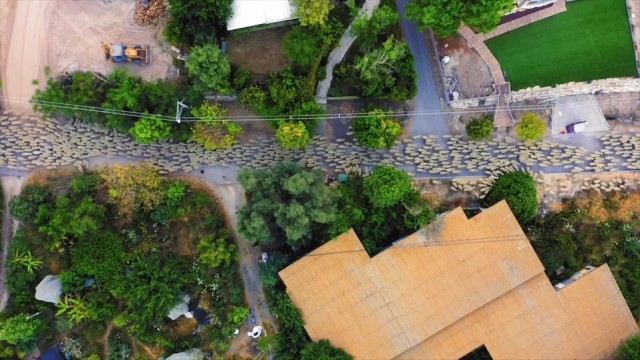 Фотограф с помощью дрона превратил стадо овец в движущееся произведение искусства