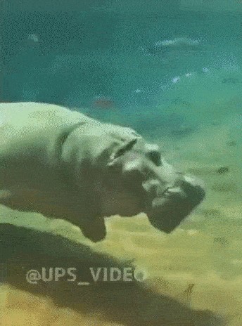 Ничего себе скорость