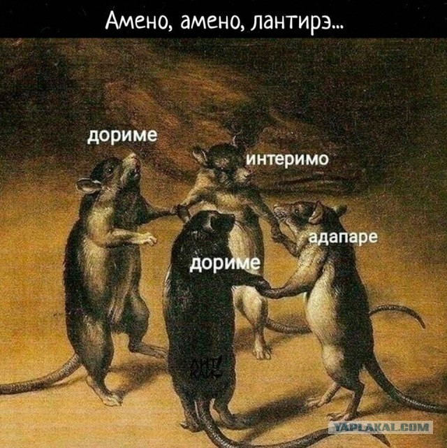 Свинегрет: картинки, надписи и прочее на 06,07.202 или №31