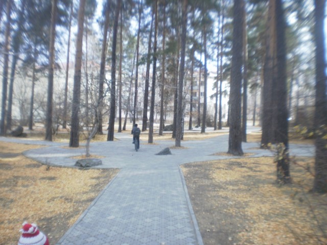 Кулинарная беседка