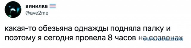 Подборка картинок всяческих 09.02.2022