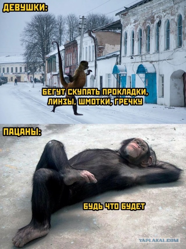 Картинки аморальные и всякие разные - 26