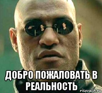 Это точно реальность?