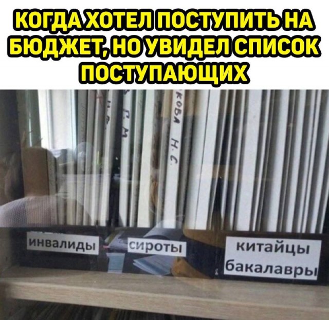 Картинки и мемы для настроения - 21