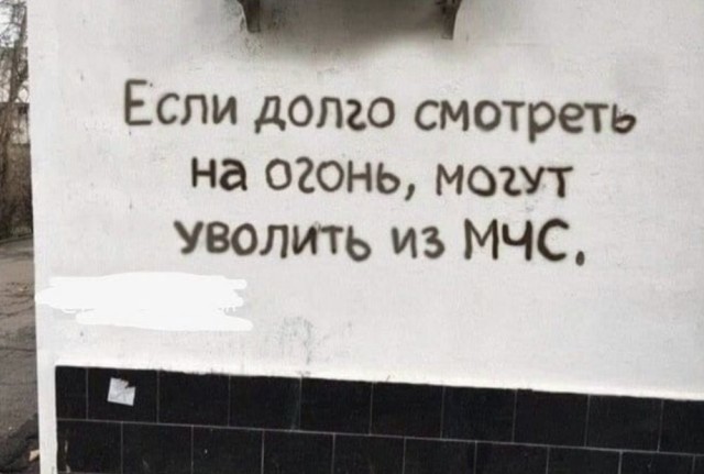 Весёлый полтишок 24.05.22