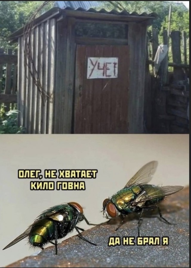 Картинки и мемы для настроения - 27
