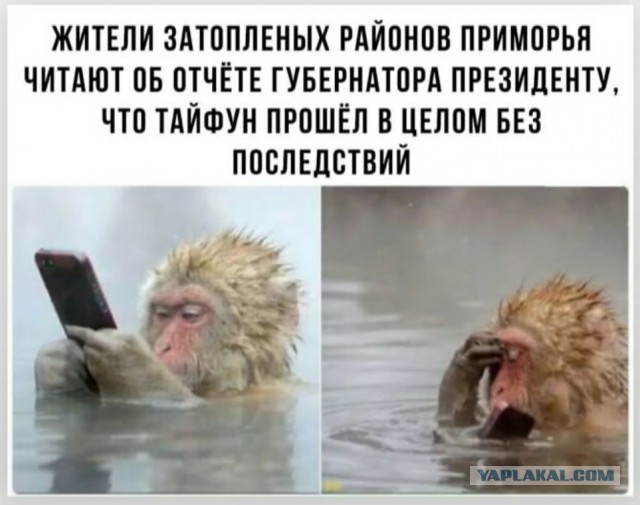 Картинки и мемы для настроения - 009