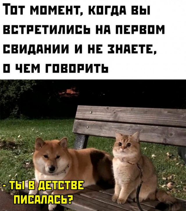 Немного картинок для настроения - 129