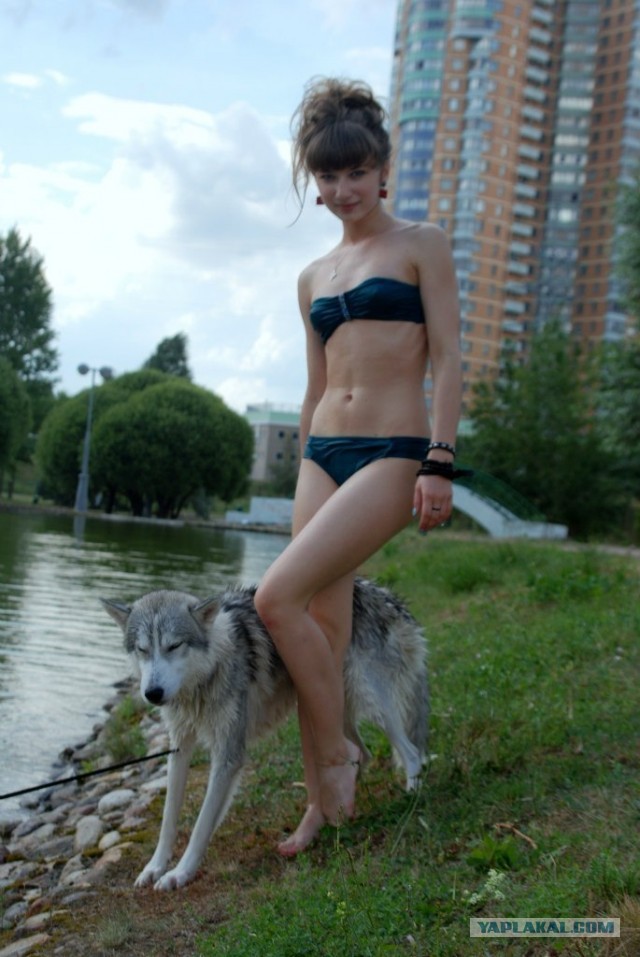 Красота из керамики