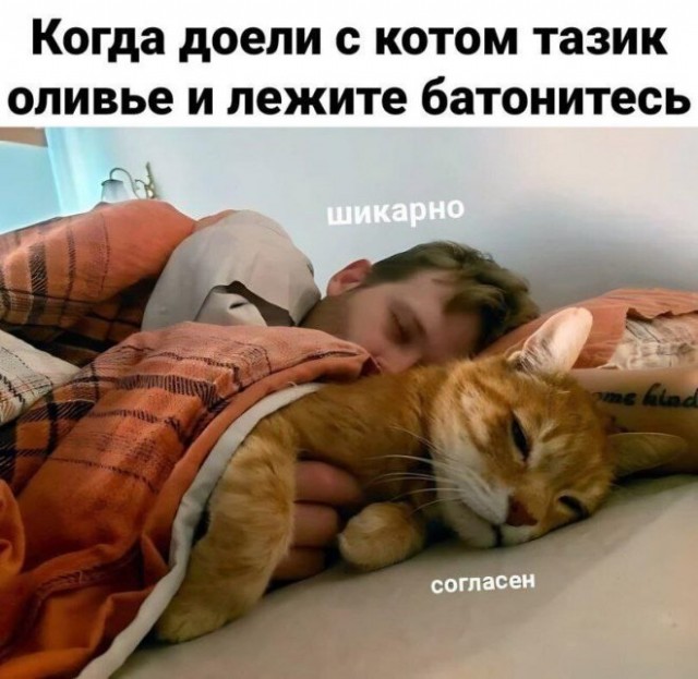 Картинки и мемы, выходные продолжаются