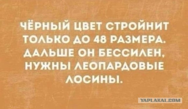 Народная меДИЧина 7000
