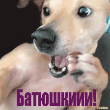 Не поверишь!