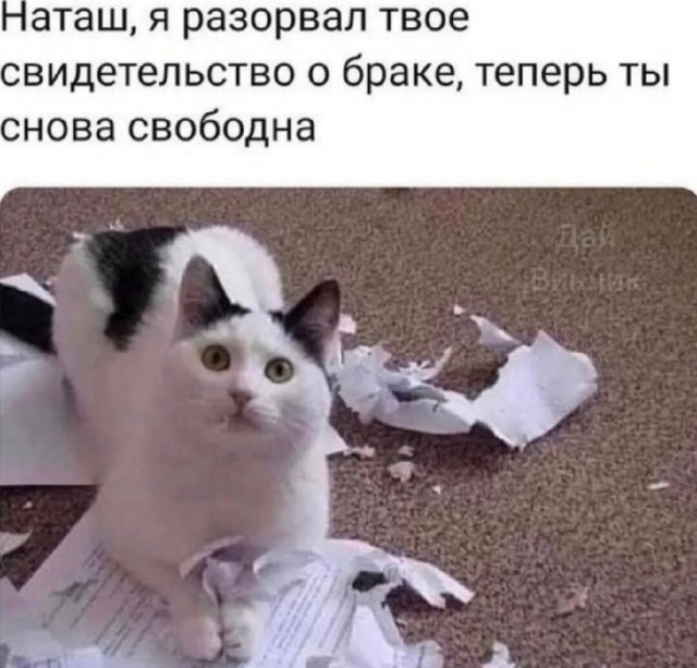 Картинки и мемы, всем хороших выходных