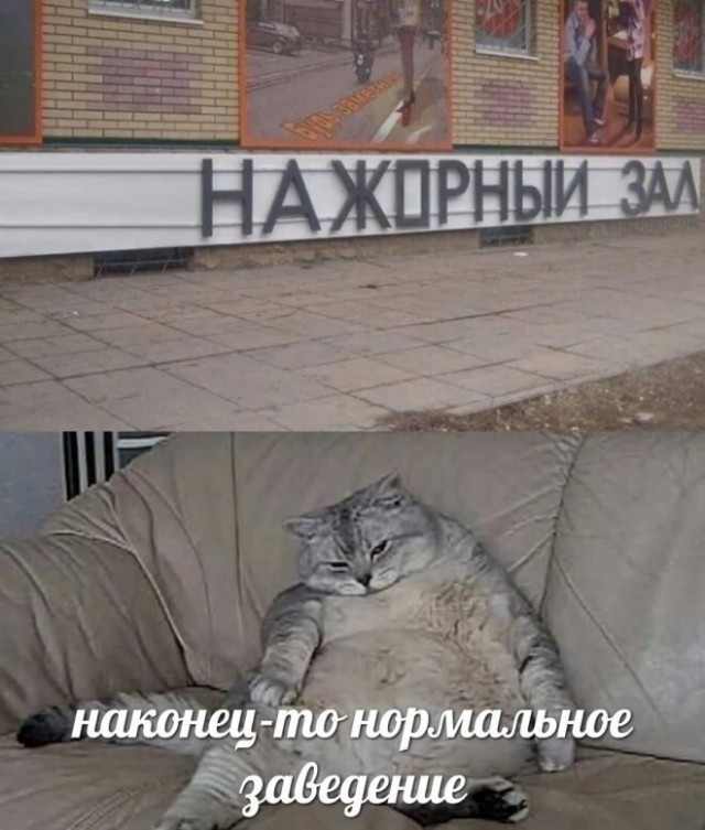 Прикольные и просто красивые картинки 18.04.2023