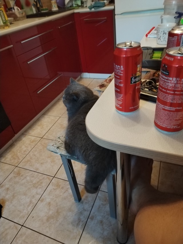 Васян явно хочет пива