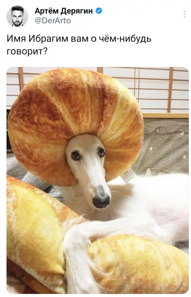 Нуштош 26.05.2023