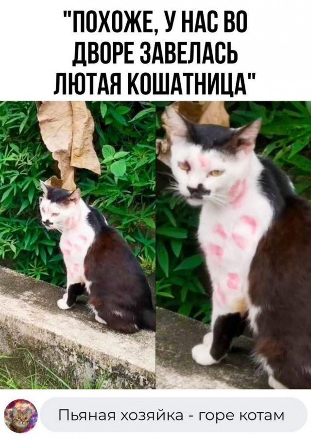 Прикольные и просто красивые картинки 15.09.2023