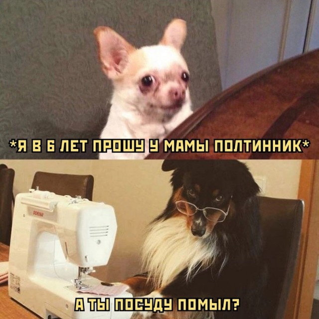 Весёлый полтишок 05.10.23