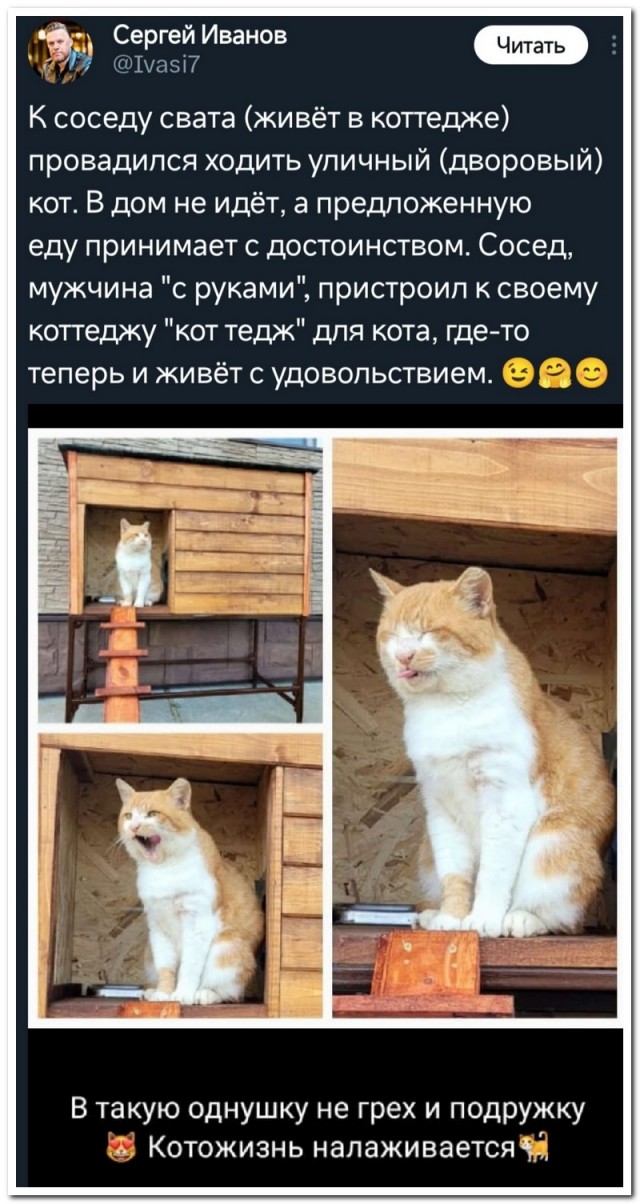 Забавные комментарии из социальных сетей (16.10.23)