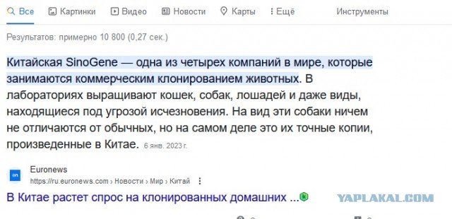 Олдам приготовиться: «Букины» возвращаются на телек 18 декабря