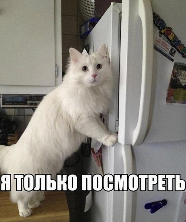 Отряд быстрого деградирования