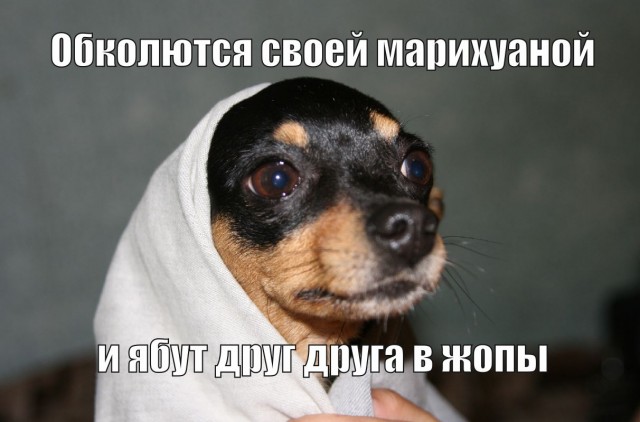 "Я хочу есть нормальные продукты!"