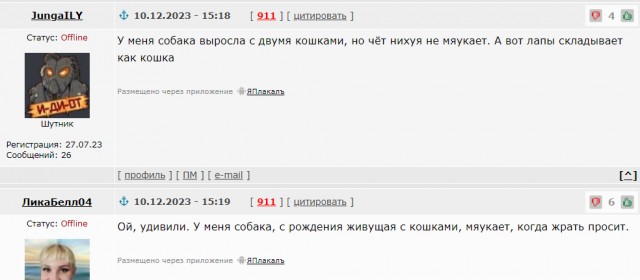 Котик вырос с собаками и теперь он не мяукает, а гавкает