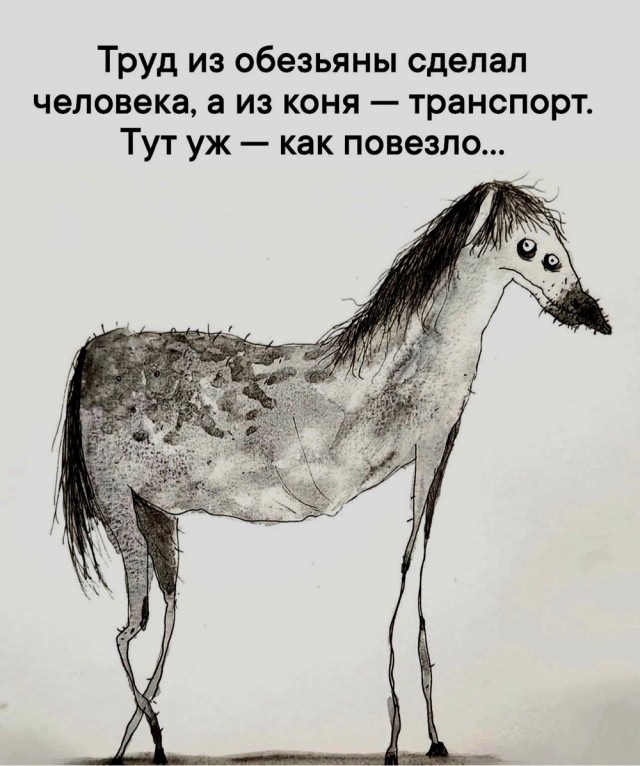 Весёлый полтишок 13.03.24