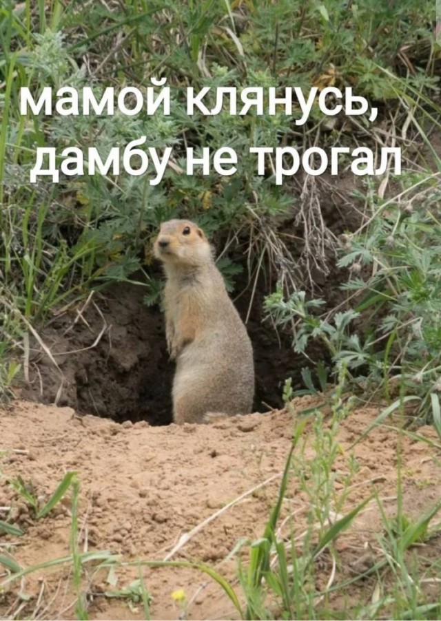 На злобу дня