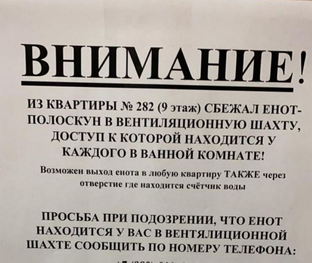 Прикольные и просто красивые картинки 17.05.2024