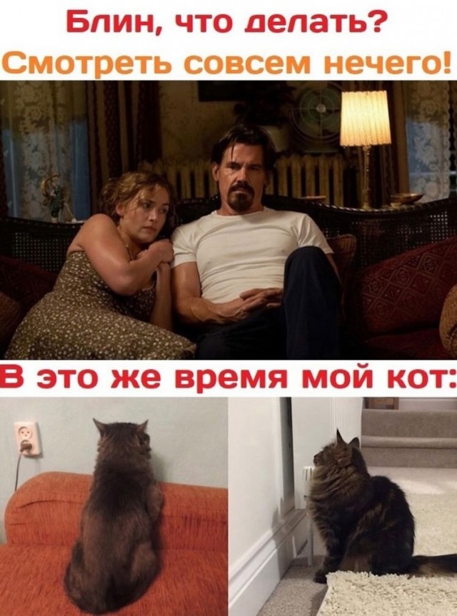 Завалялось тут случайно немного забавных картинок