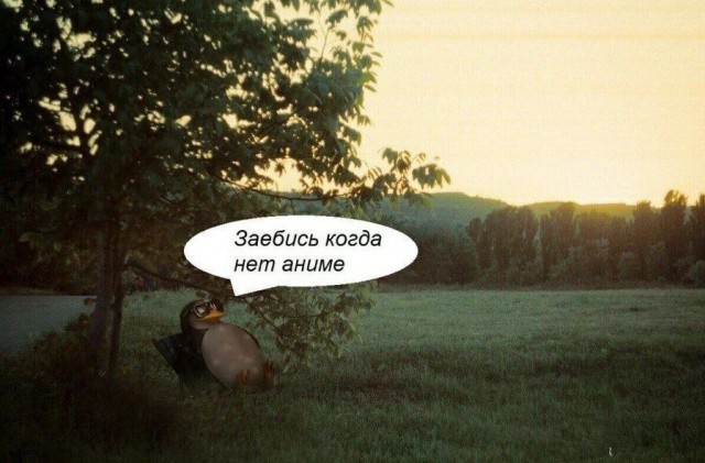 Всего понемногу. От 29.07