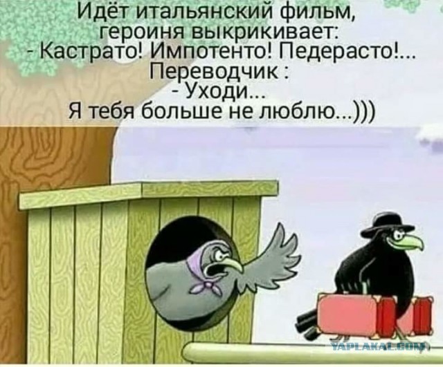 Завалялось тут случайно немного забавных картинок
