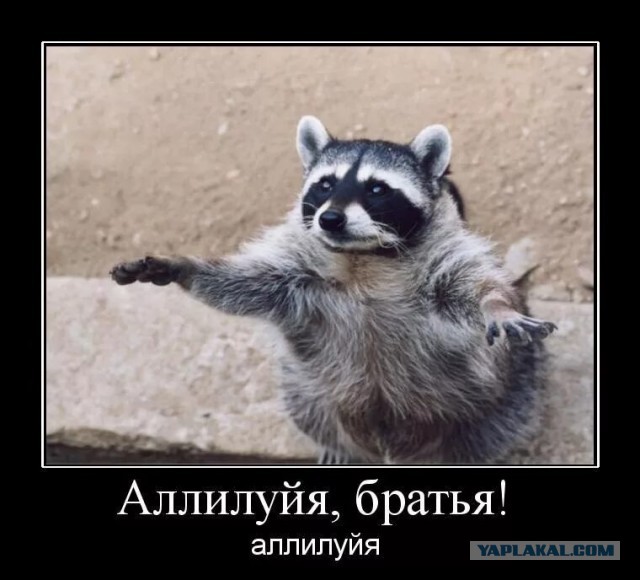 Фотографии из прошлого нашей страны – 74