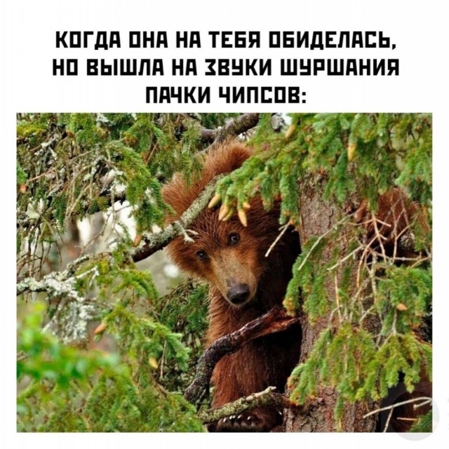 Завалялось тут случайно немного забавных картинок