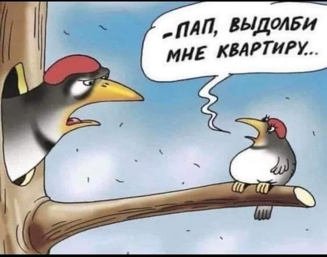 Завалялось тут случайно немного забавных картинок