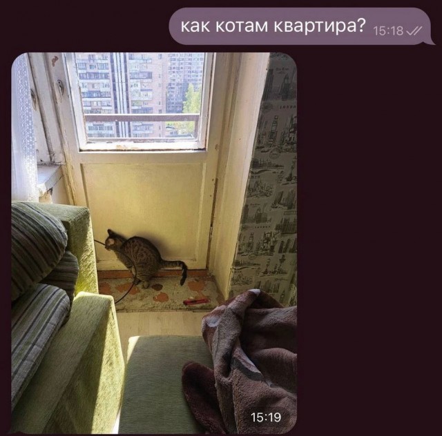 Нуштош 07.01.2025. Межпраздничный спецвыпуск