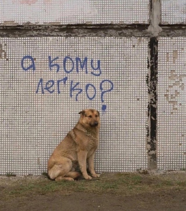 50 картинок с курсов игры на баяне