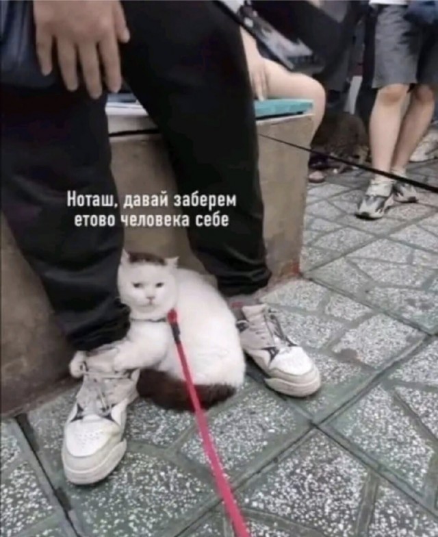 Завалялось тут случайно немного забавных картинок