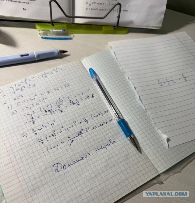 Домашняя шароба