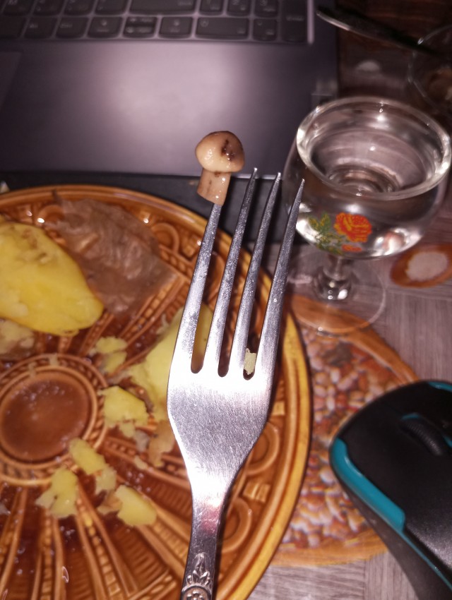 Немного милоты