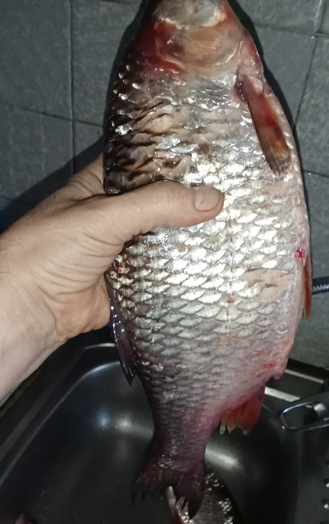 Рыбный день говорите?