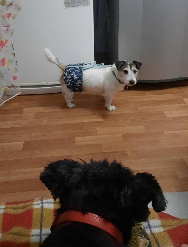 Из жизни.