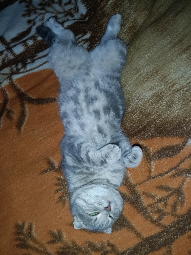 Ну начнемс ...!