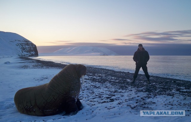 Cтанция Валькаркай
