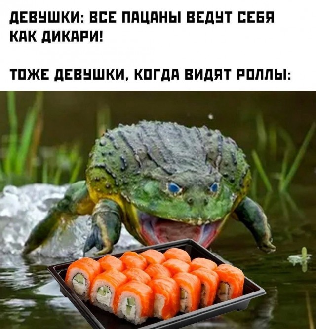 Картинки для деградации 137 (разной степени свежести)