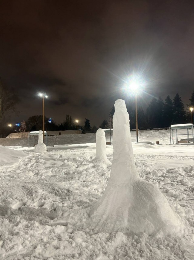 В Екатеринбурге снова появились «членовики»